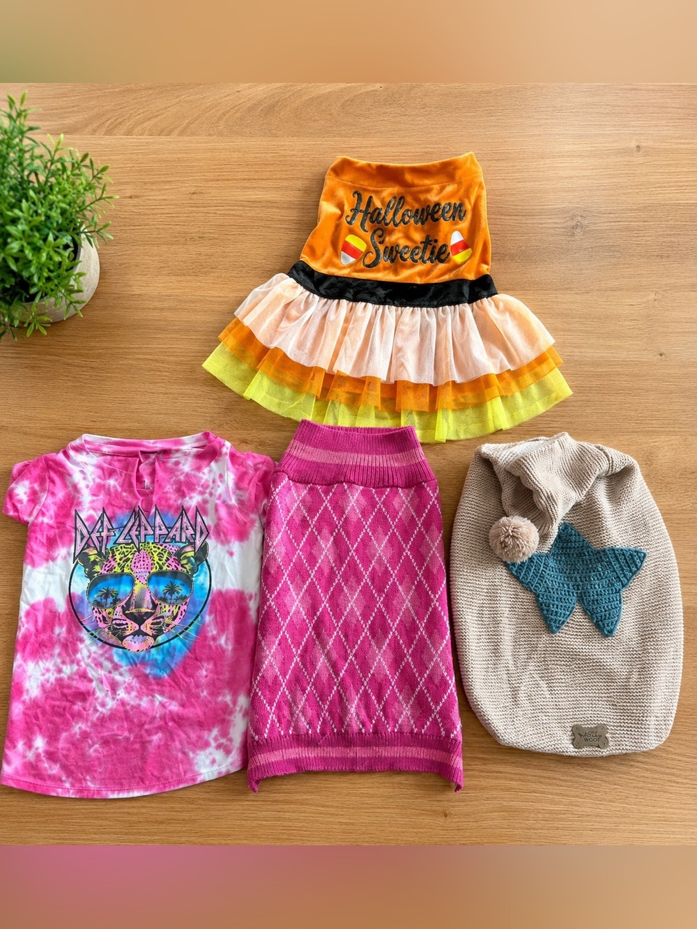Lot of 4 Small/Medium Dog Clothes Pink Sweater. Halloween. Hoodie